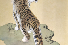 Tiger-scaled