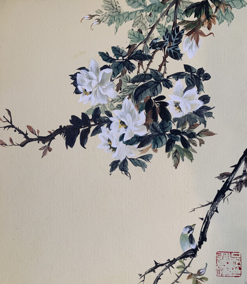 Flower Series 5