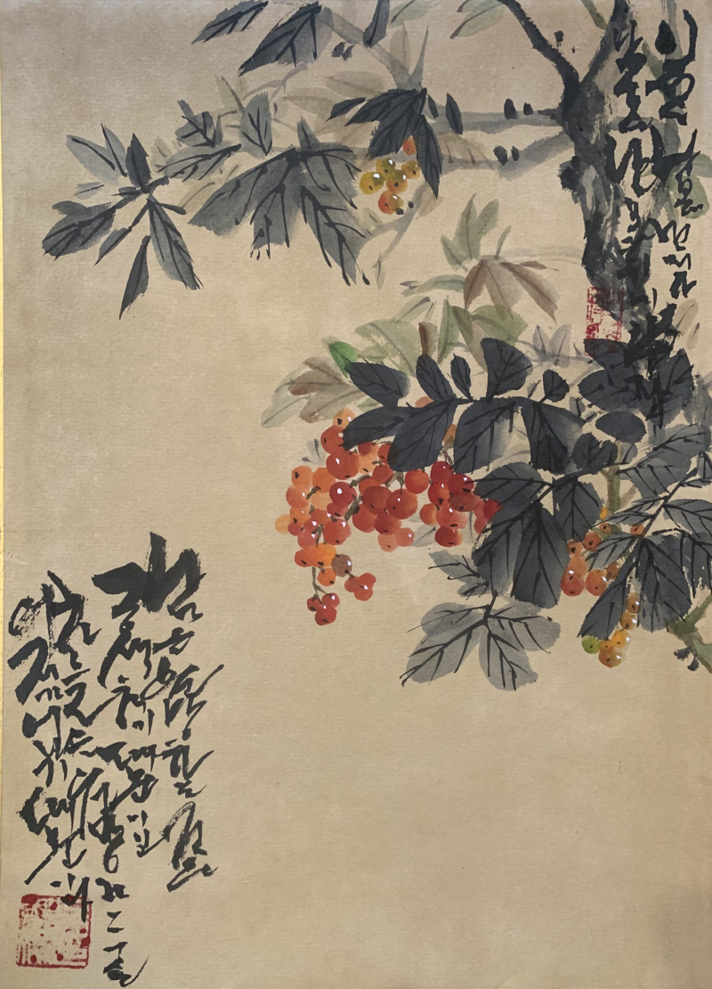 Flower Series 9