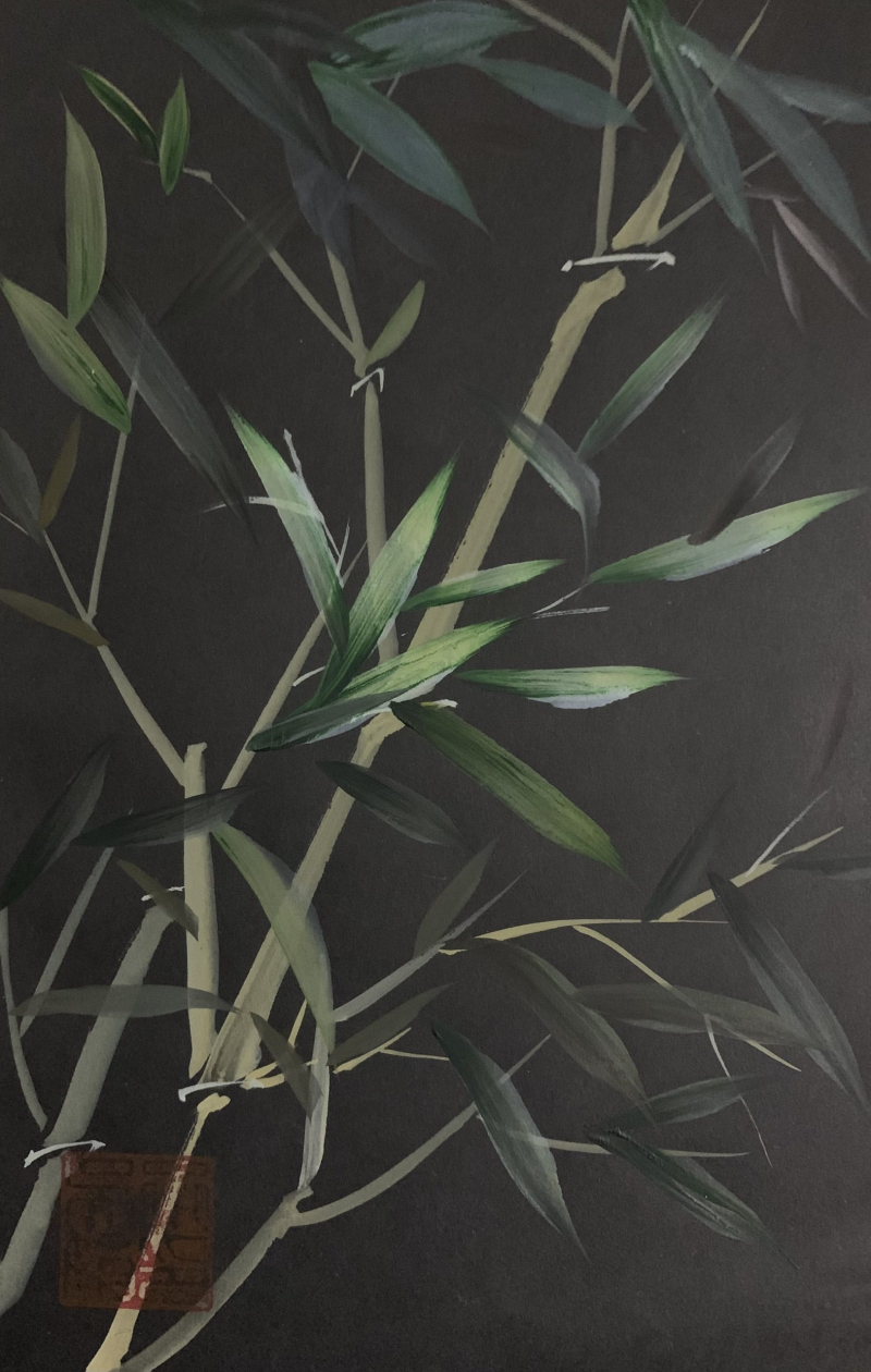 Bamboo