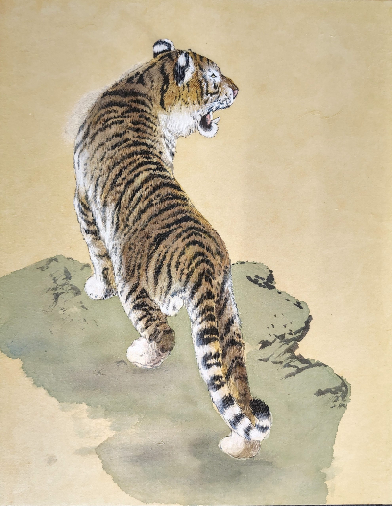 Tiger