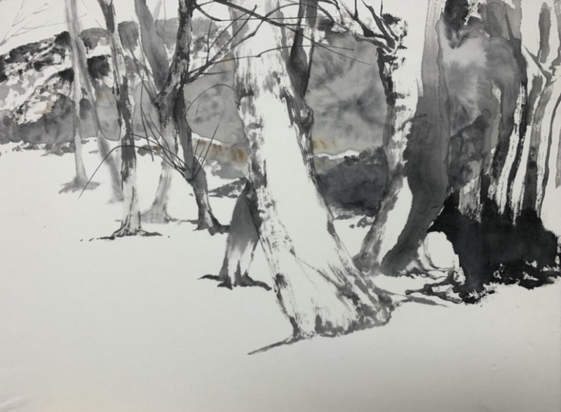 Winter Trees 1